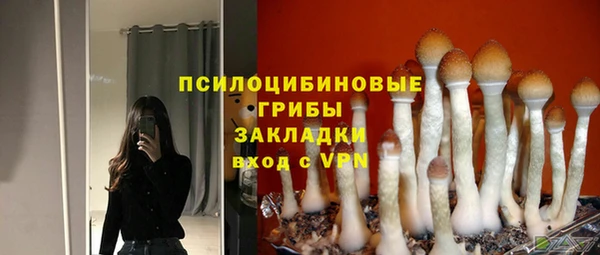 стафф Алексеевка