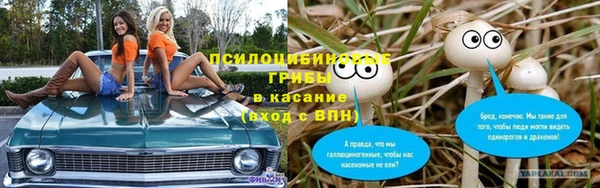 ешки Алексин